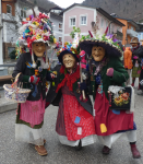 Ebenseer Fetzenumzug II
